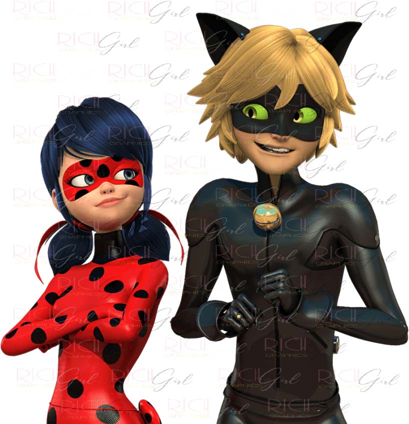 Tales of Ladybug and Cat Noir Cutout Props