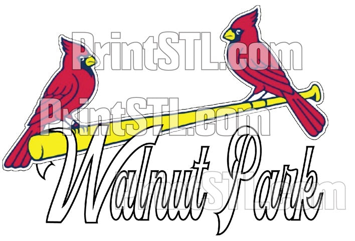 Rep Yo Hood! St. Louis Baseball Jersey