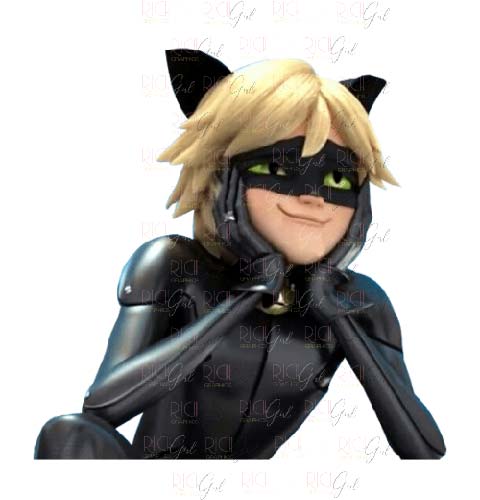 Tales of Ladybug and Cat Noir Cutout Props