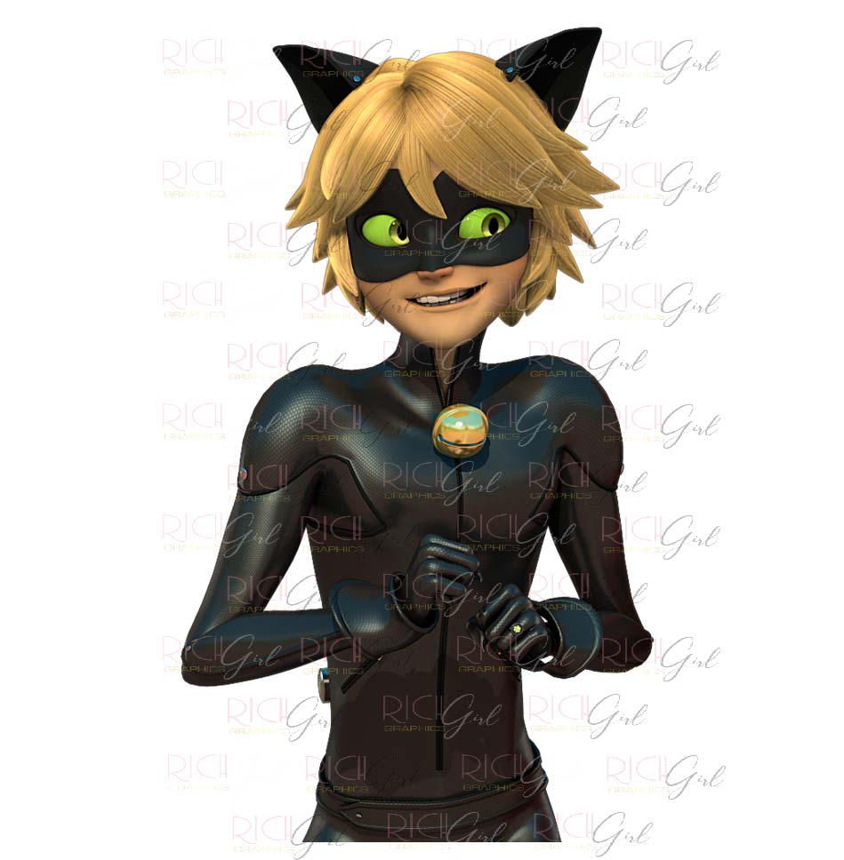 Tales of Ladybug and Cat Noir Cutout Props