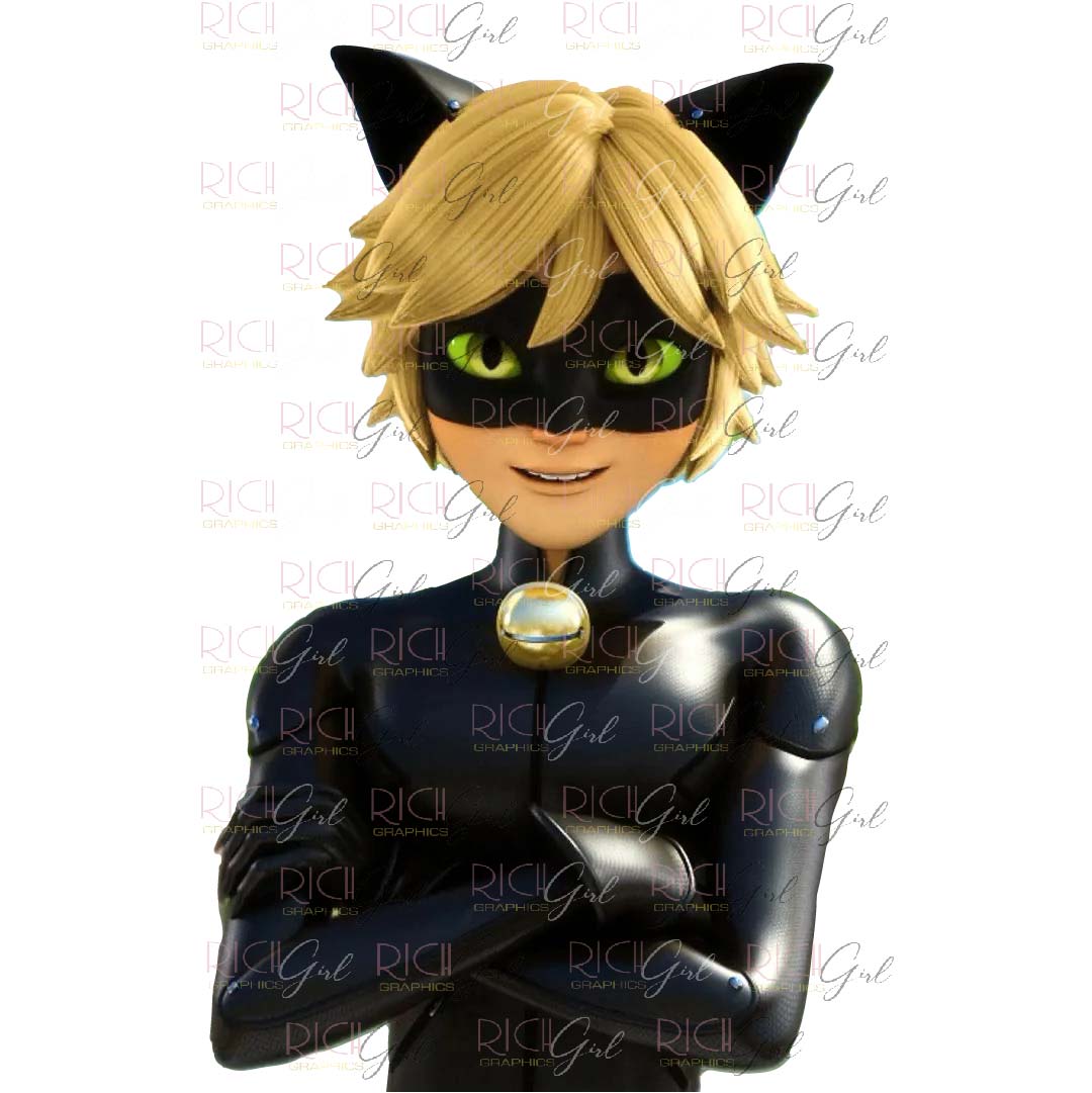 Tales of Ladybug and Cat Noir Cutout Props