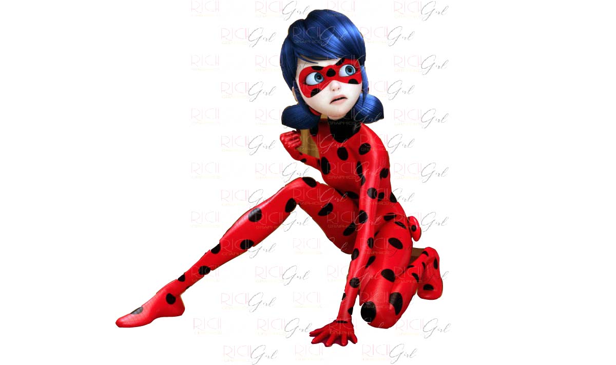 Tales of Ladybug and Cat Noir Cutout Props